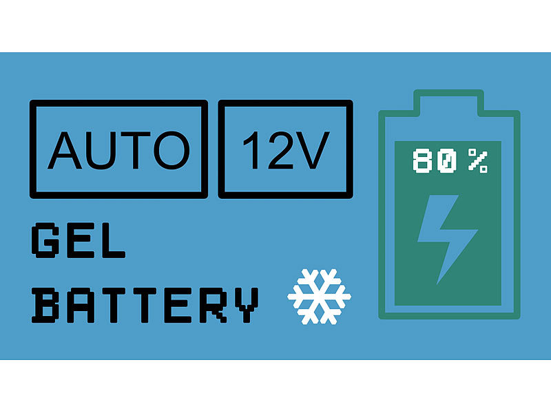 Lescars Autobatterie Ladegerät: High Power Profi-Multi-Batterieladegerät, 6/ 12/24 V, BMS-komp., 26 A: : Auto & Motorrad